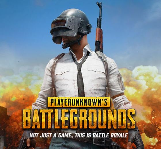 라이선스 IP 커버 아트: pubg